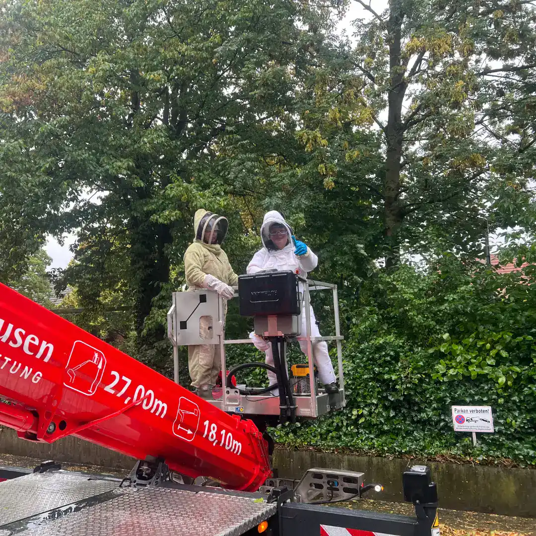 Einsatz mit Hubsteiger: Team im Korb in Schutzanzügen bei der Nestentfernung