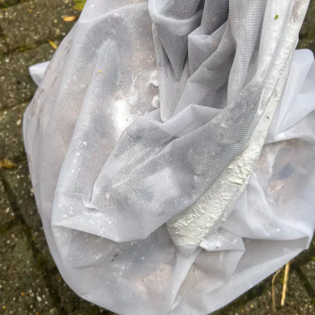 Gesichertes Nest der Asiatischen Hornisse im Fang-/Transportsack nach Entfernung